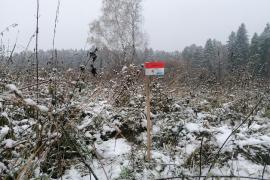 Участок 15 соток