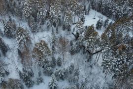 участок в д. Некрасово.