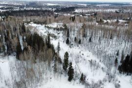 Участок 15 соток