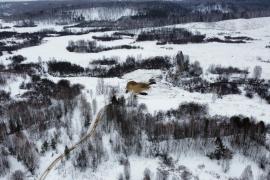 Участок 12 соток 