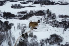 Участок 12 соток 