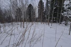 Участок 14.5 соток